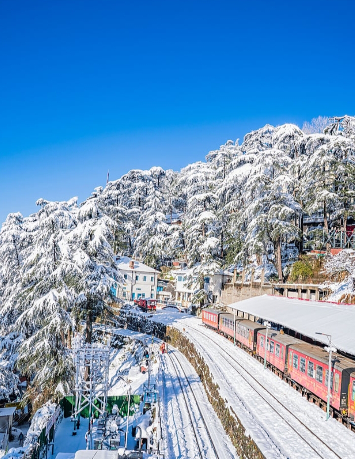 Shimla