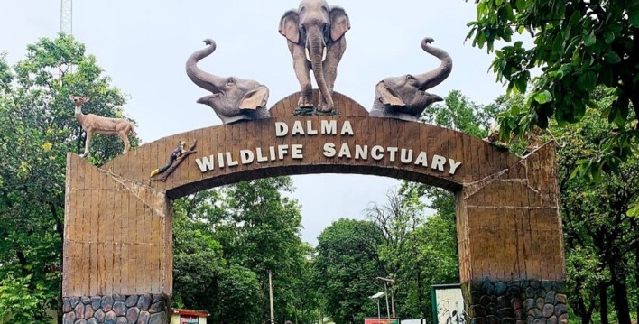 Dalma Wildlife Sanctuary
